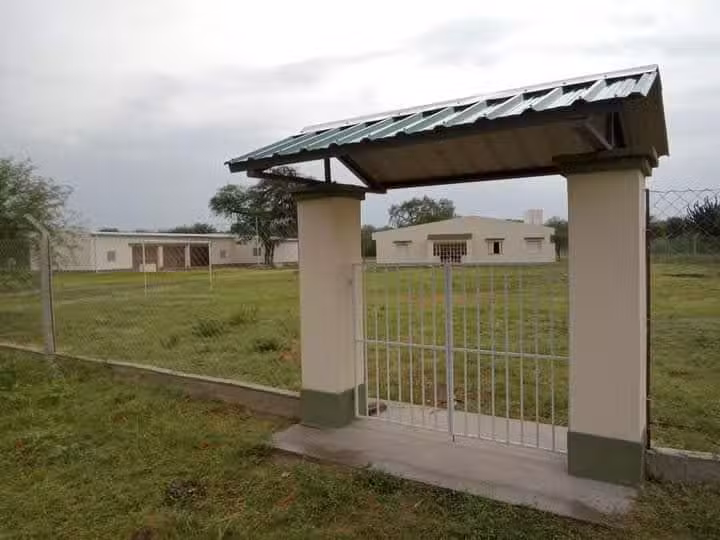 Escuela 776 vaca human