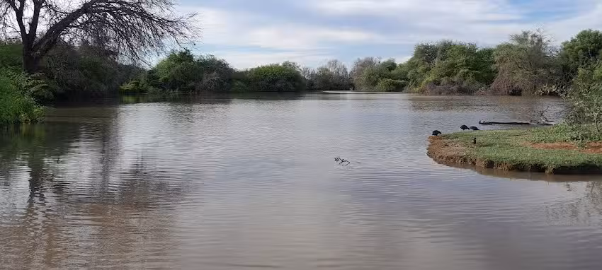 Escuela 857 San Pedro Dpto Avellaneda