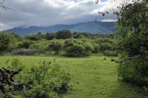 Escuela 9 De Julio El Portezuelo