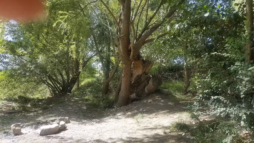 Escuela Agraria Tornquist Campo de Prácticas