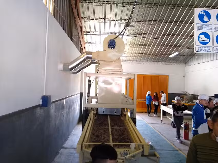 Escuela AgroIndustrial 25 De Mayo San Juan