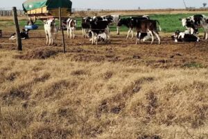 Escuela Agropecuaria Nelly Brown de Emerson