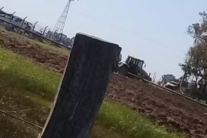 Escuela agropecuria N1