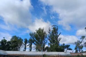 Escuela Agrotécnica Manuel Belgrano