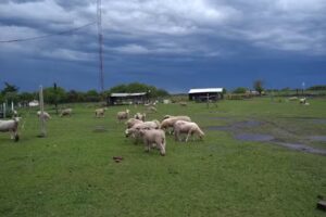 Escuela Agrotécnica Manuel Pacífico Antequeda