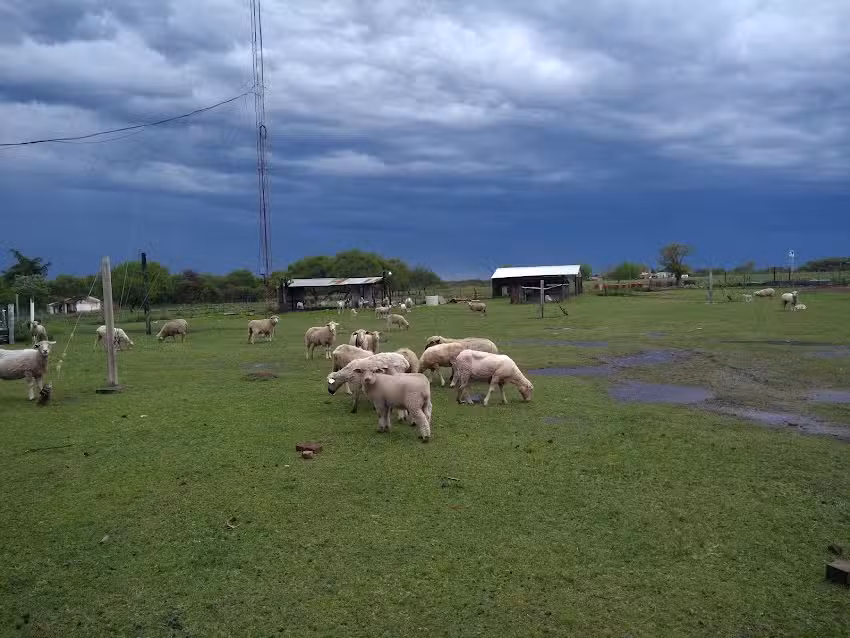 Escuela Agrotécnica Manuel Pacífico Antequeda