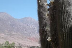 Escuela Agrotécnica Nº10