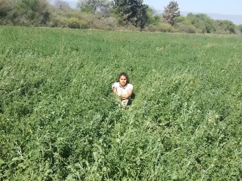 Escuela Agrotecnica Nueva Coneta