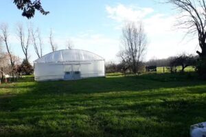 Escuela Agrotécnica Pergamino