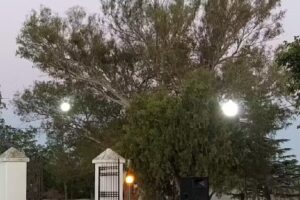 Escuela Coronel Francisco de Bedoya