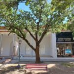 Escuela Dalmacio Velez Sarfield