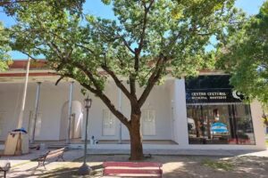 Escuela Dalmacio Velez Sarfield