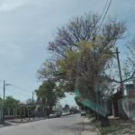 Escuela Dalmacio Velez Sarfield