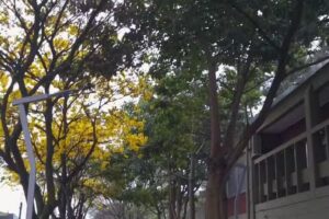 Escuela de Comercio República de Panamá