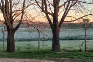 Escuela de Educación Agraria N1 Martin Fierro