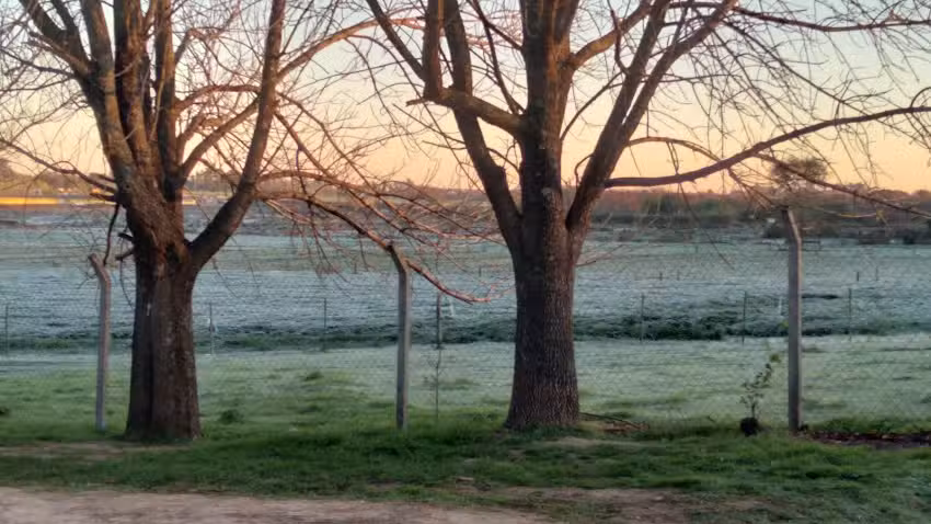 Escuela de Educación Agraria N1 Martin Fierro