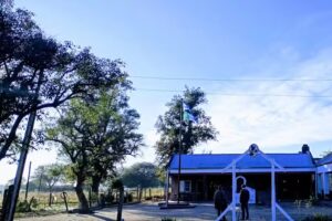 Escuela de Educación Primaria N 207