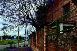 Escuela de Educación Primaria N21 Ituzaingó