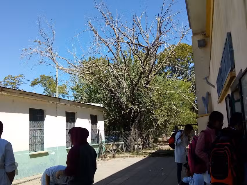 Escuela De Educación Primaria Nº16 Imperio Del Japón