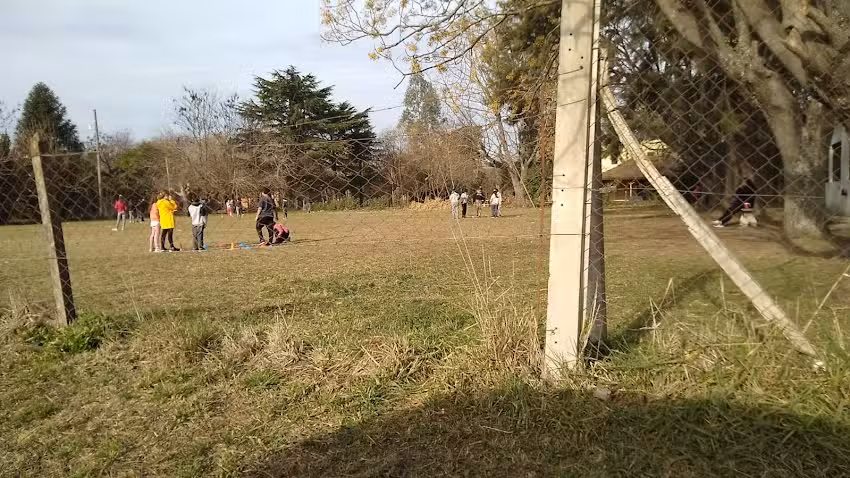 Escuela De Educación Primaria Nº31 Leopoldo Lugones