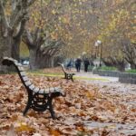 Escuela De Educación Primaria Nº4 Bernardino Rivadavia