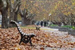 Escuela De Educación Primaria Nº4 Bernardino Rivadavia