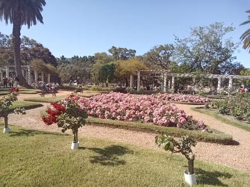 Escuela De Educación Primaria Nº45 Haydee Sosa Guerrero