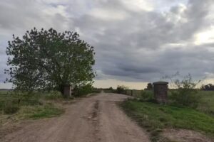 Escuela De Educación Primaria Nº7 General Manuel Belgrano