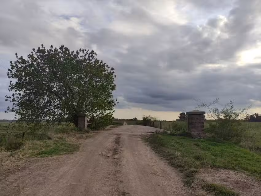 Escuela De Educación Primaria Nº7 General Manuel Belgrano