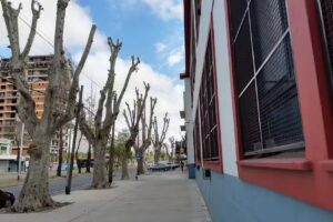 Escuela De Educación Primaria Nº8 Nuestra Señora Del Carmen