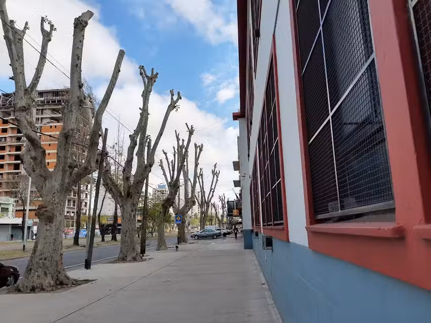 Escuela De Educación Primaria Nº8 Nuestra Señora Del Carmen