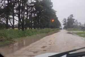 Escuela De Educación Primaria Nº9 Enrique De Anchorena