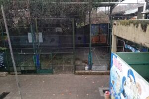 Escuela De Educacion Secundaria N 8