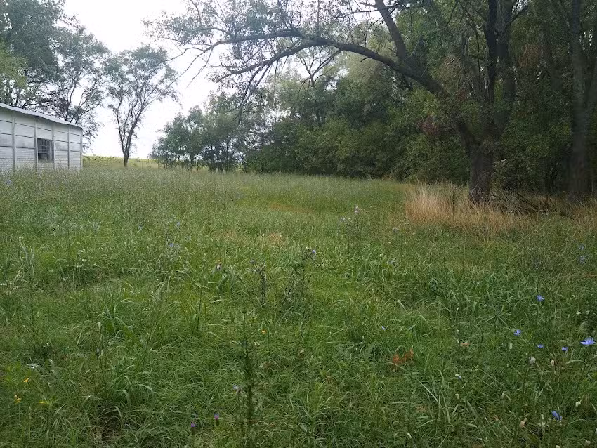 Escuela de Educación Secundaria N12 Escuela de Ep N43 Cecilia Grierson