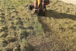 Escuela de Educación Secundaria N8 Hueney