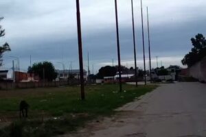 Escuela De Educación Secundaria Nº61