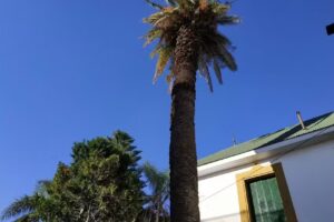 Escuela de Educación Secundaria Orientada N 436 Juan Mantovani