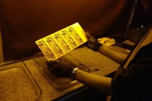 Escuela de Educación Secundaria Técnica Nro 1 Eduardo Ader