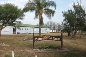 Escuela de Educación técnica N339 Modalidad Agrotecnica