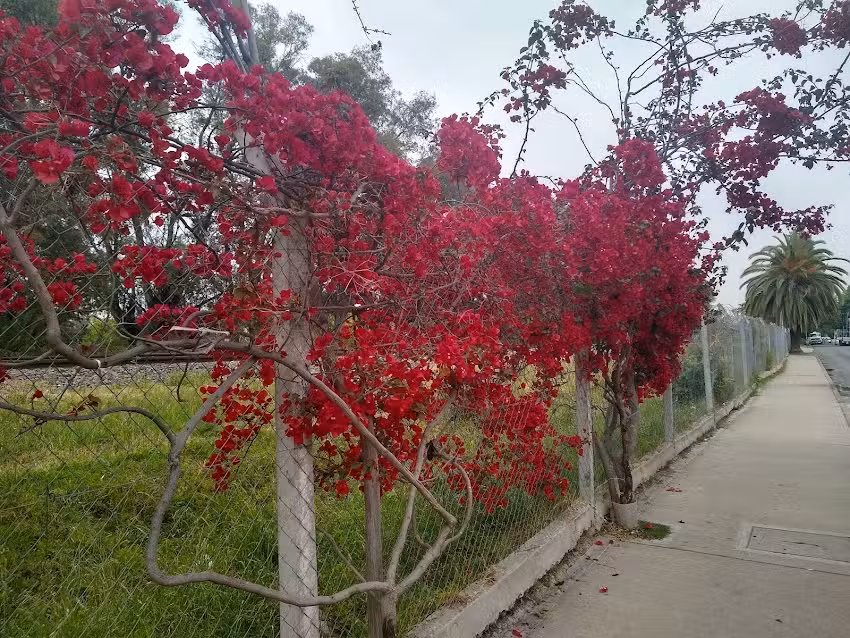 Escuela de Educación Técnica Nº 1 Manuel Belgrano