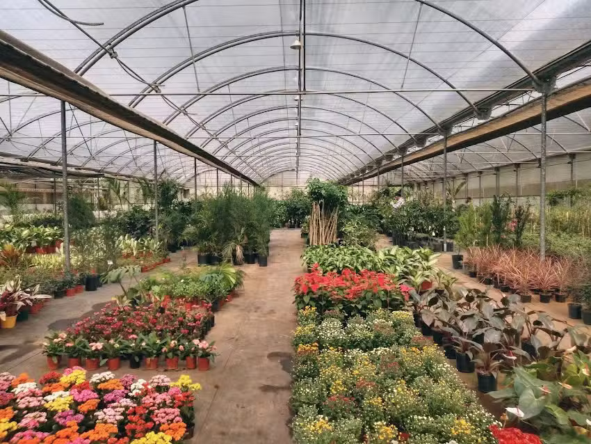 Escuela de Jardinería Centro de Biotecnología en Chaco Argentina