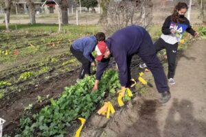 Escuela de la Familia Agricola Colonia El Pincen