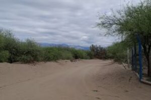 Escuela De La Patria