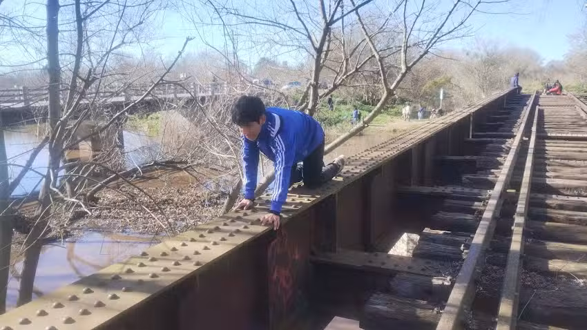 Escuela de los papus pros