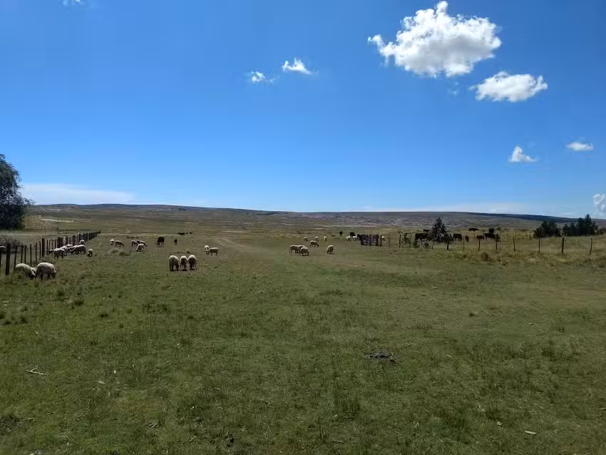 Escuela de Mesilla del Cura