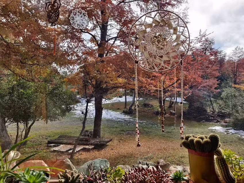 Escuela de música Chañares
