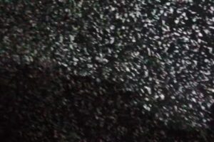 Escuela de Nivel Inicial N 382 Libertador de América