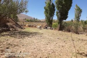 Escuela 345 Santa Rita de Cassia