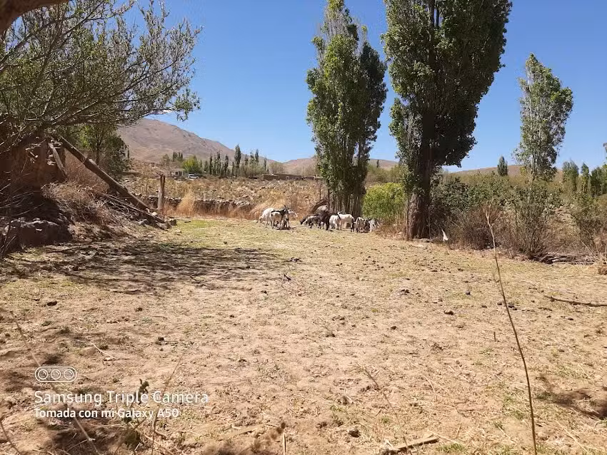 Escuela 345 Santa Rita de Cassia