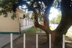 Escuela Domingo F Sarmiento 216